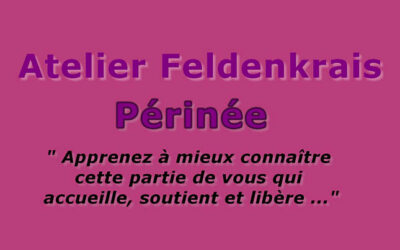 Atelier Feldenkrais Périnée et Plancher Pelvien – samedi 25 novembre 2023 – Gap (05)