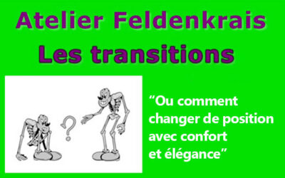 Atelier Feldenkrais « Les Transitions », samedi 13 avril 2024, Gap (05) : inscrivez-vous !